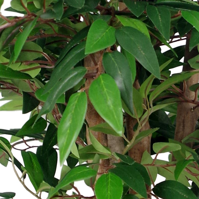 Artificial 90cm Luxury Smilax Sarsaparilla Ficus Tree Premium Range – image 3