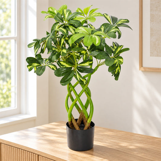 70cm Twisted Stem Modern Arboricola Artificial Plant Bonsai Bush