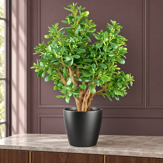 70cm Artificial Deluxe Jade Plant