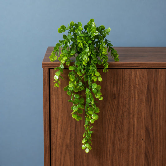 75cm Artificial Trailing Round Leaf Foliage Plant Classic Gloss Green