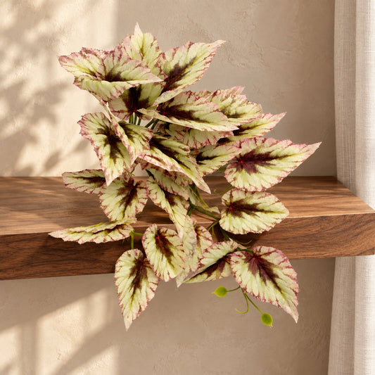 30cm Artificial Trailing Cream and Pink Caladium