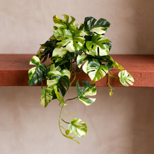 25cm Artificial Trailing Variegated Monstera Vine Plant