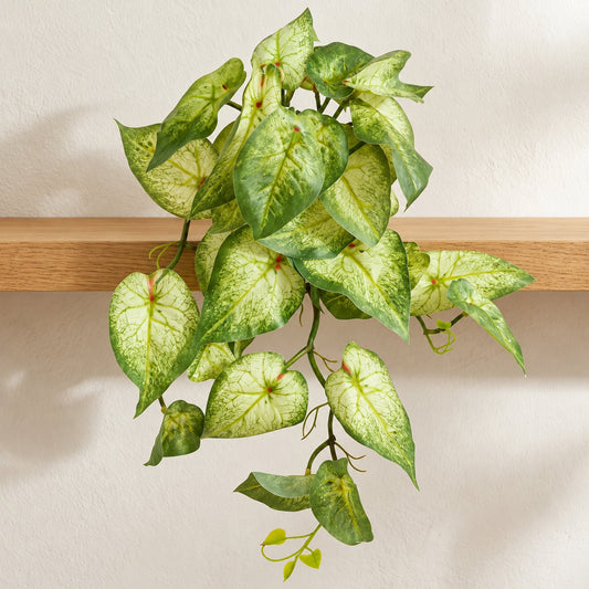 25cm Artificial Trailing Variegated Caladium Vine Plant Light Green