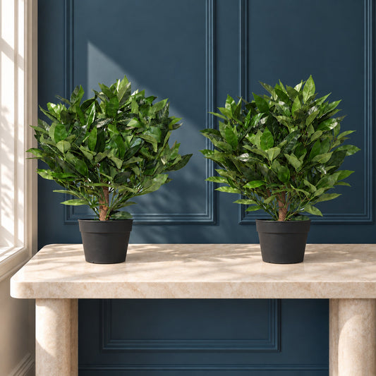 Pair of 50cm Dwarf Artificial Bay Trees Laurel Topiary Bushes
