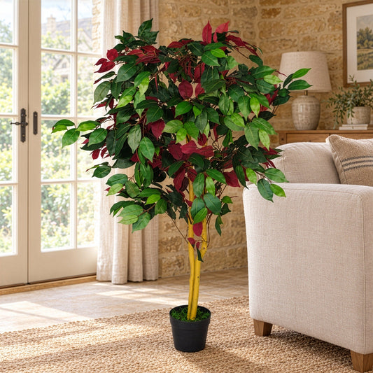 120cm Artificial Capensia Tree Ficus Plant Extra Large