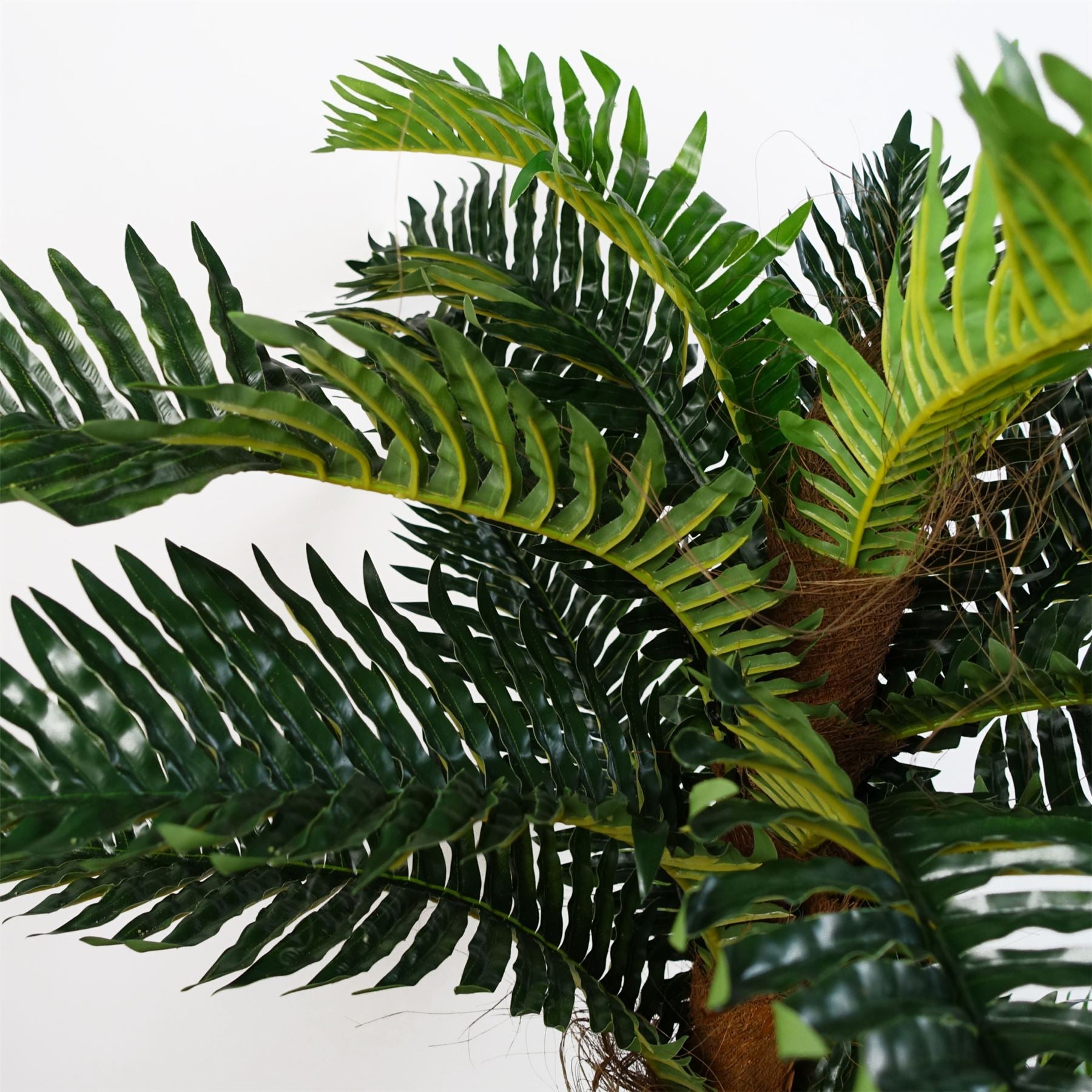 Artificial 150cm Large Palm Tree with Natural Trunk – image 4