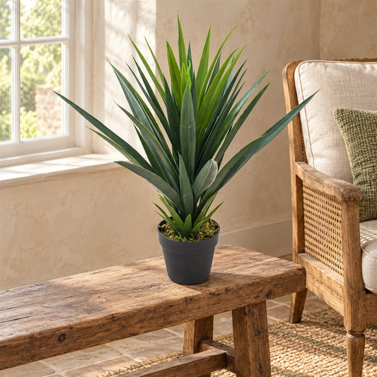 Artificial 60cm Agave Succulent Yukka Style Green Plant