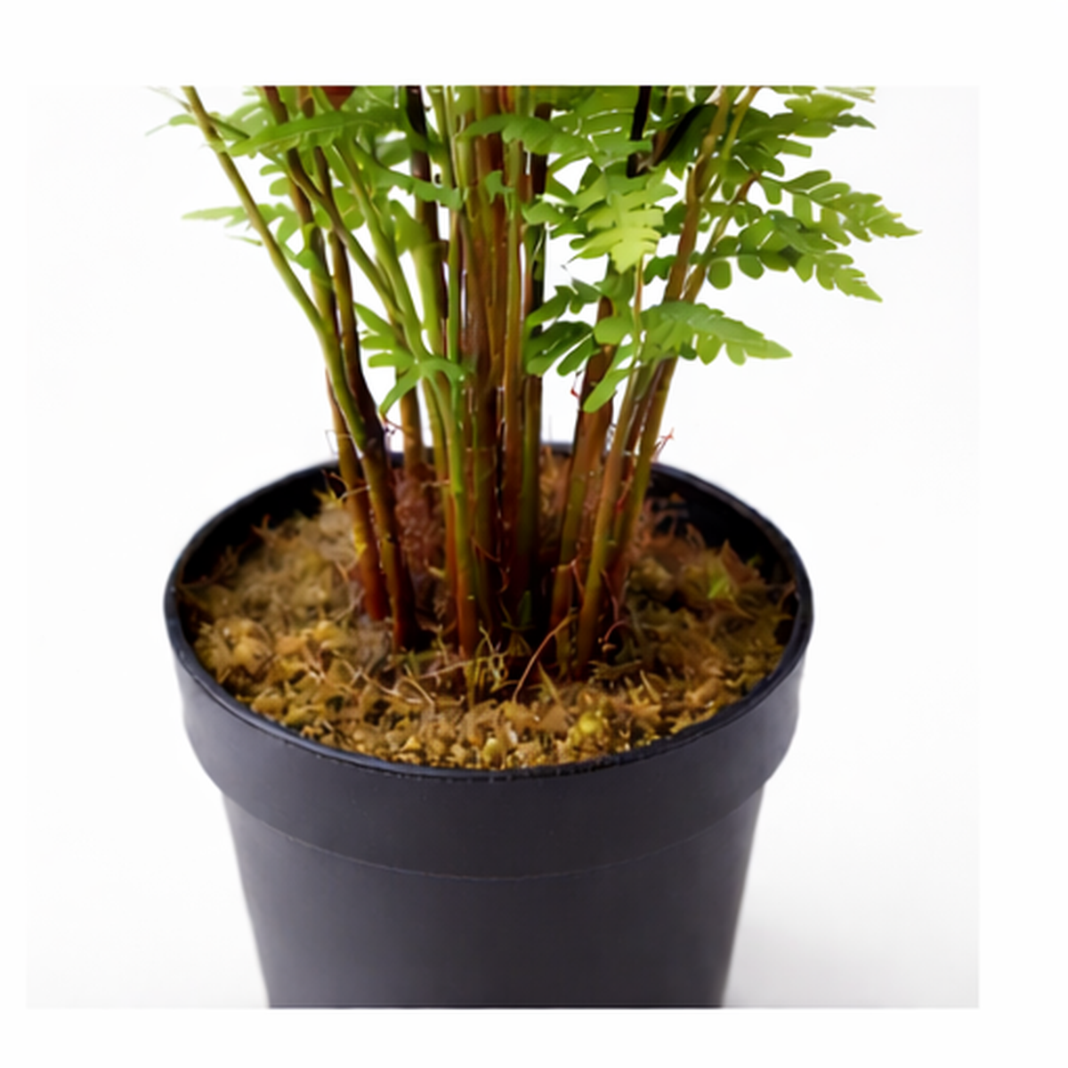 75cm Artificial Fern Plant – image 4