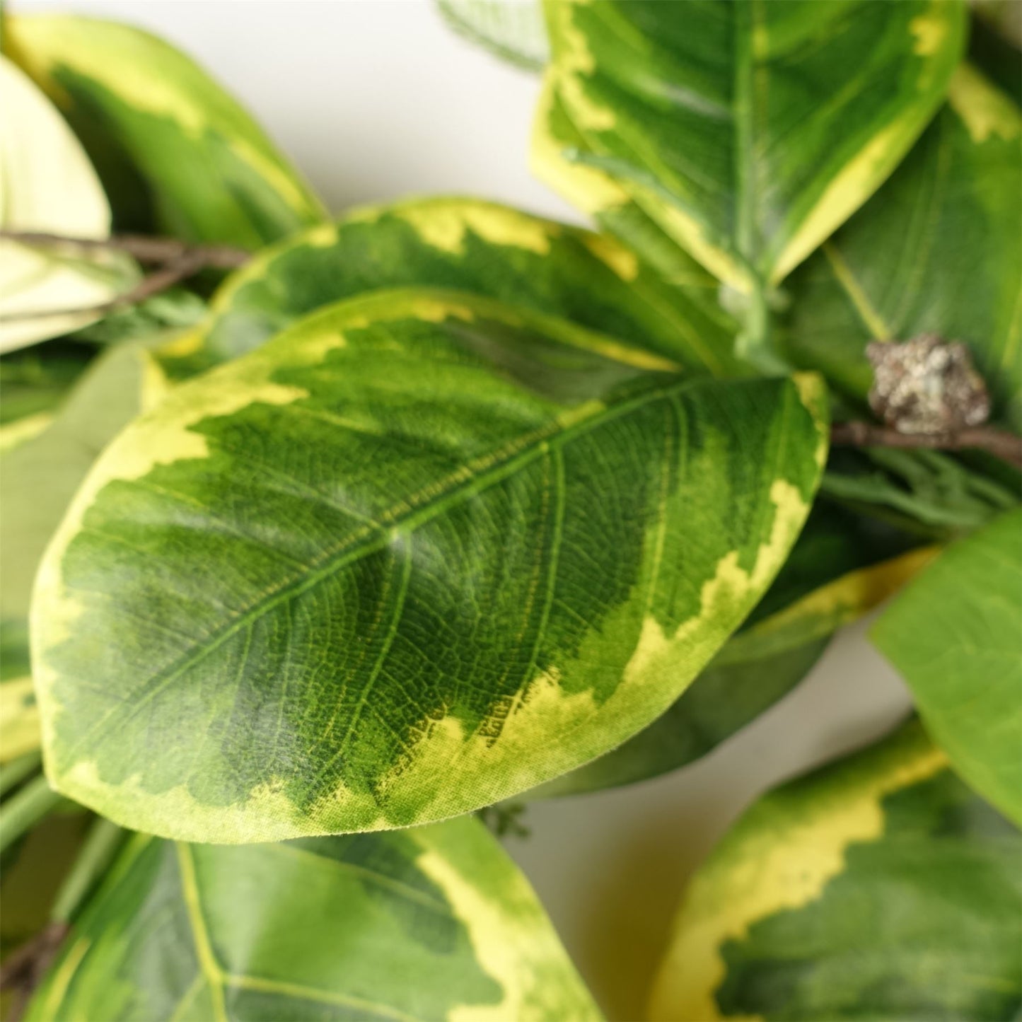180cm Artificial Garland Hanging Trailing Golden Ficus Plant – image 2