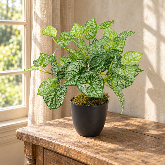 Artificial Caladium Plant with pot 40cm