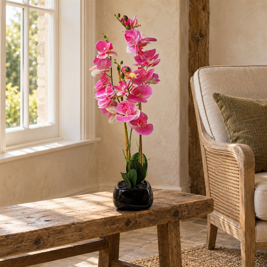 70cm Artificial Orchid Light Pink with Black Ceramic Planter