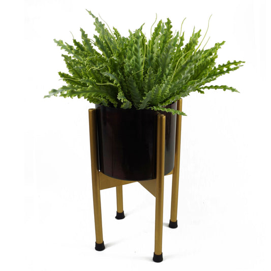 40cm Artificial Crocodile Fern Plant – image 2