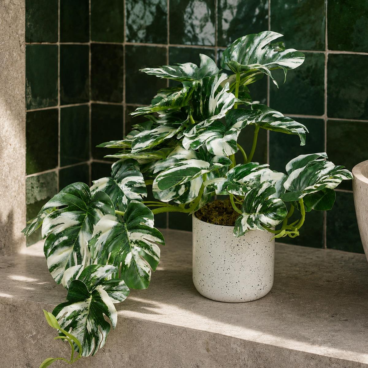 30cm Artificial Variegated Green Potted Monstera Trailing Plant – image 6