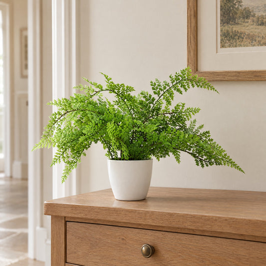 Faux 30cm Artificial Potted Royal Fern