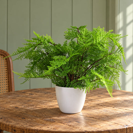 Faux 30cm Artificial Potted Lady Fern