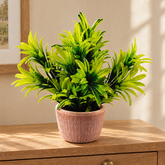 22cm Artificial Honey Plant Light Green in Terracotta Pot