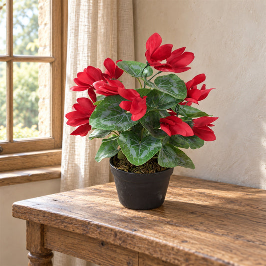 Artificial 38cm Cylamen Plant Red