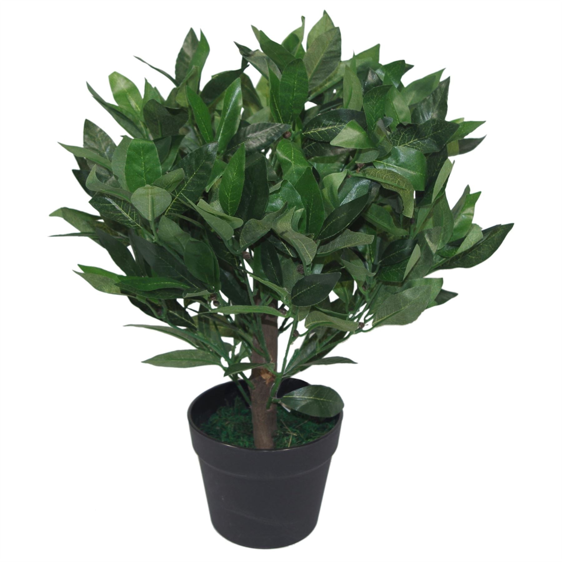 Pair of 50cm Dwarf Artificial Bay Trees Laurel Topiary Bushes – image 4