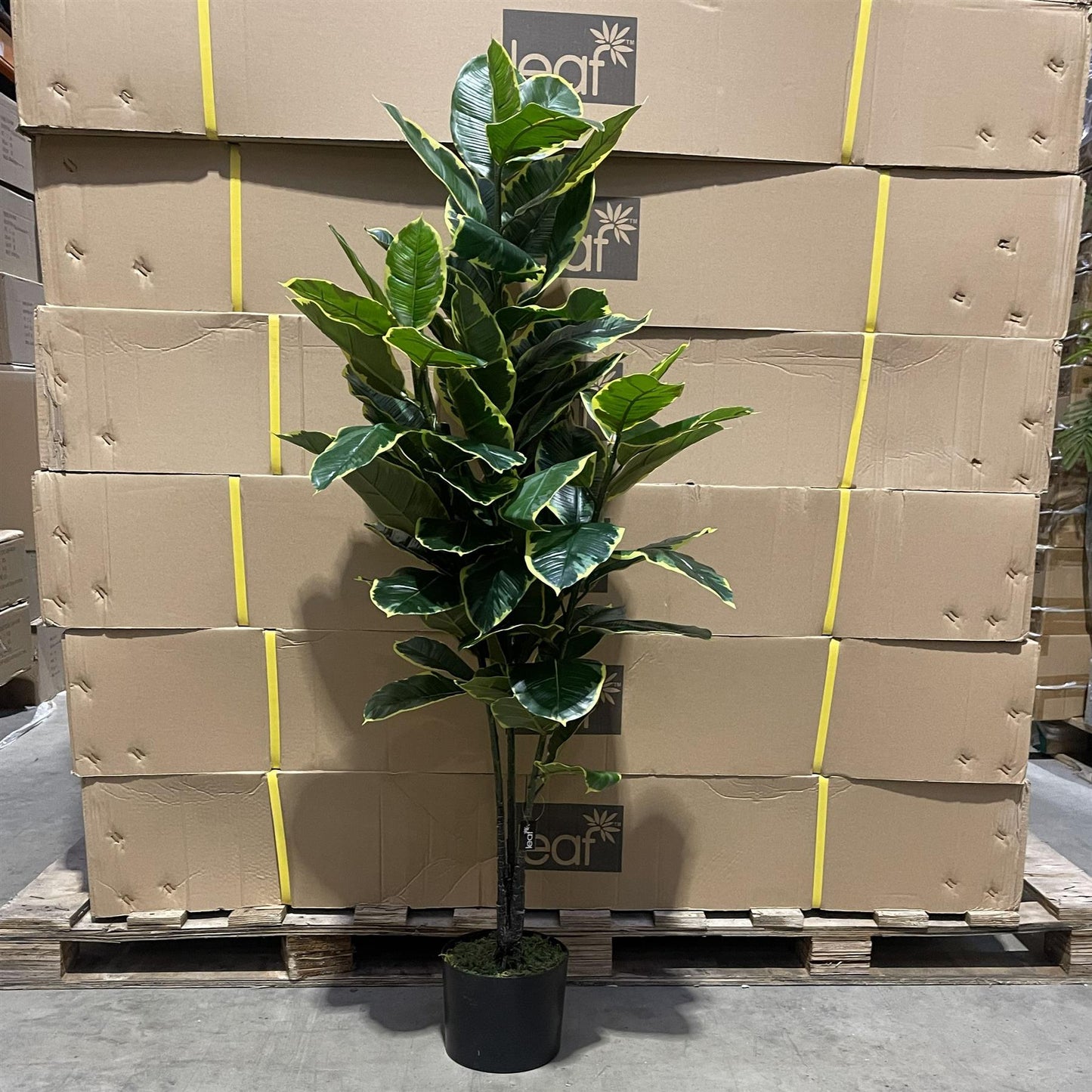 120cm Artificial Rubber Tree – image 5