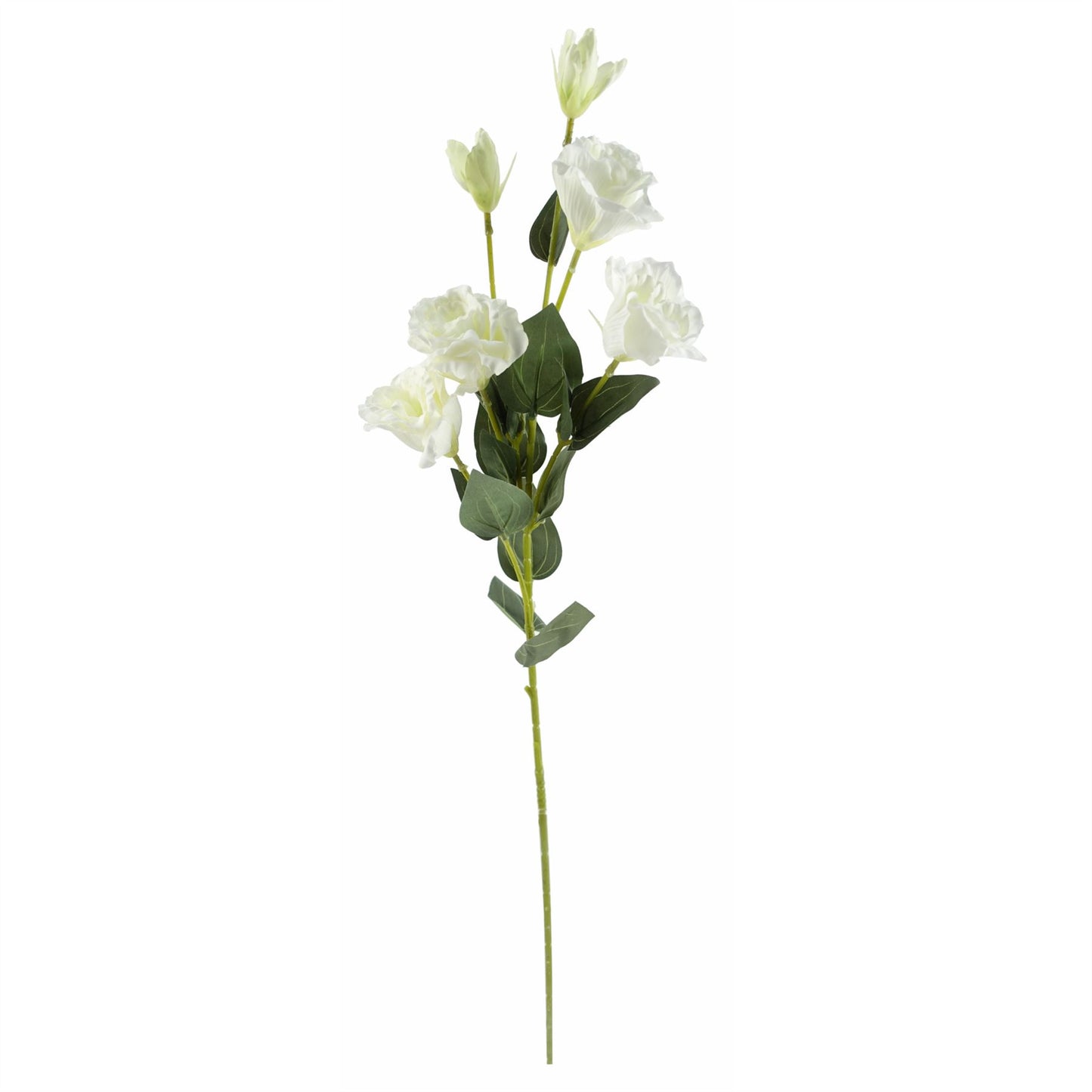 80cm Artificial White Wild Rose Stem 6 Flowers – image 2