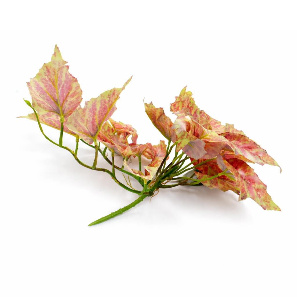 30cm Artificial Trailing Pink and Green Caladium – image 3