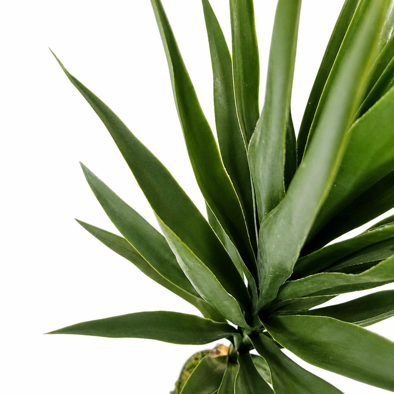 100cm YukkaTree in Pot Artificial – image 3