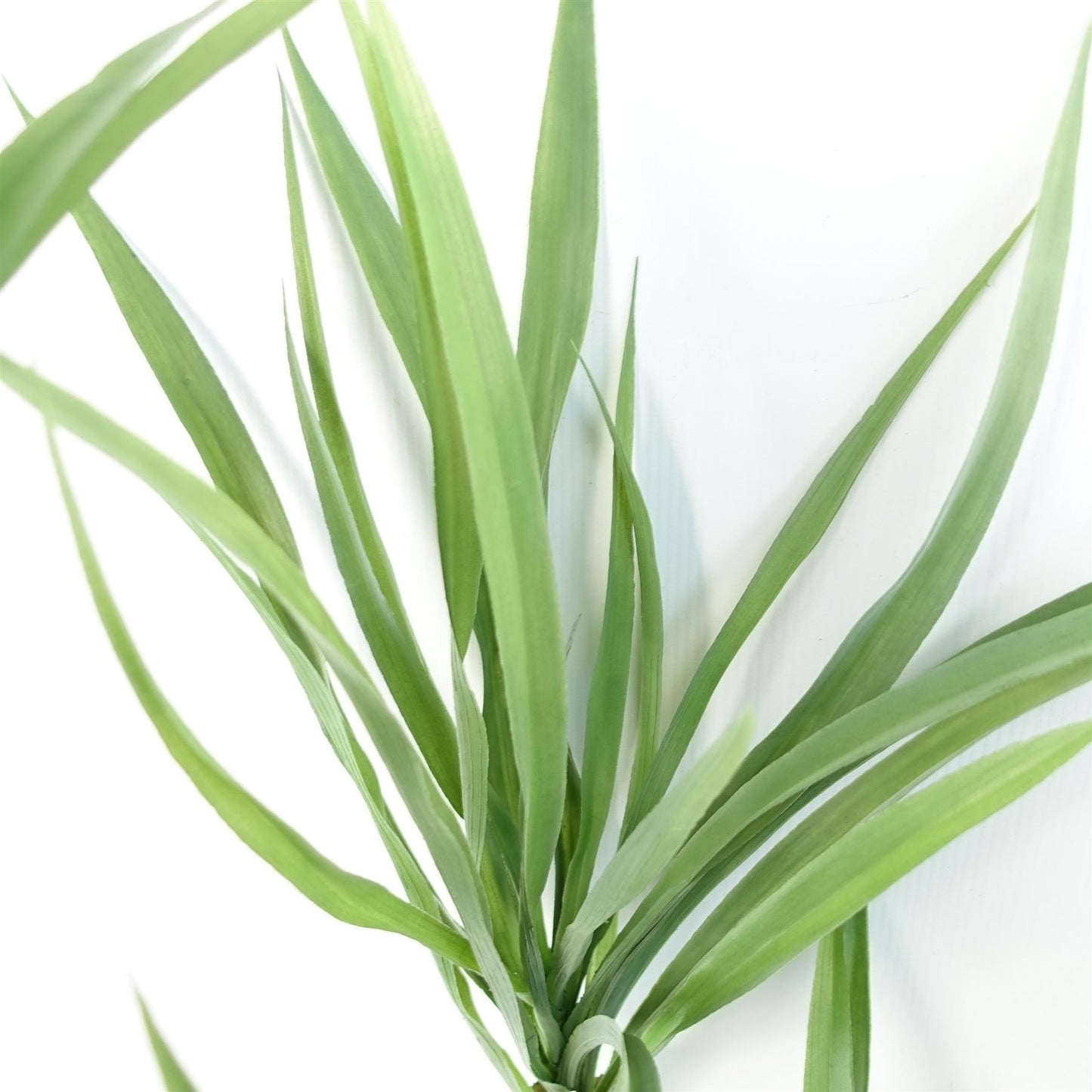 125cm Dragon Tree Dracaena Plant Natural Look Artificial – image 5