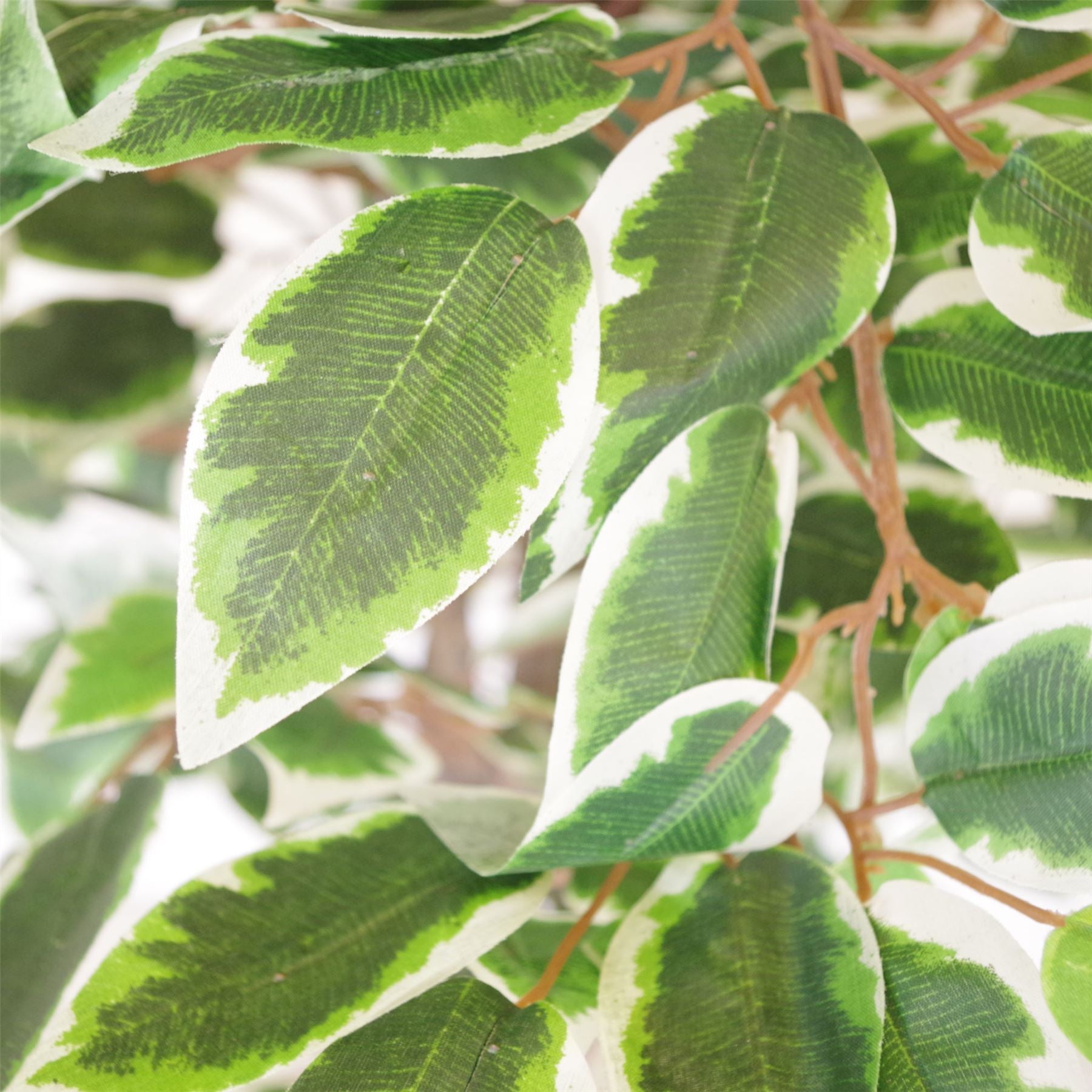 130cm LARGE White Edge Ficus Artificial Plant Tree Gold Planter – image 2