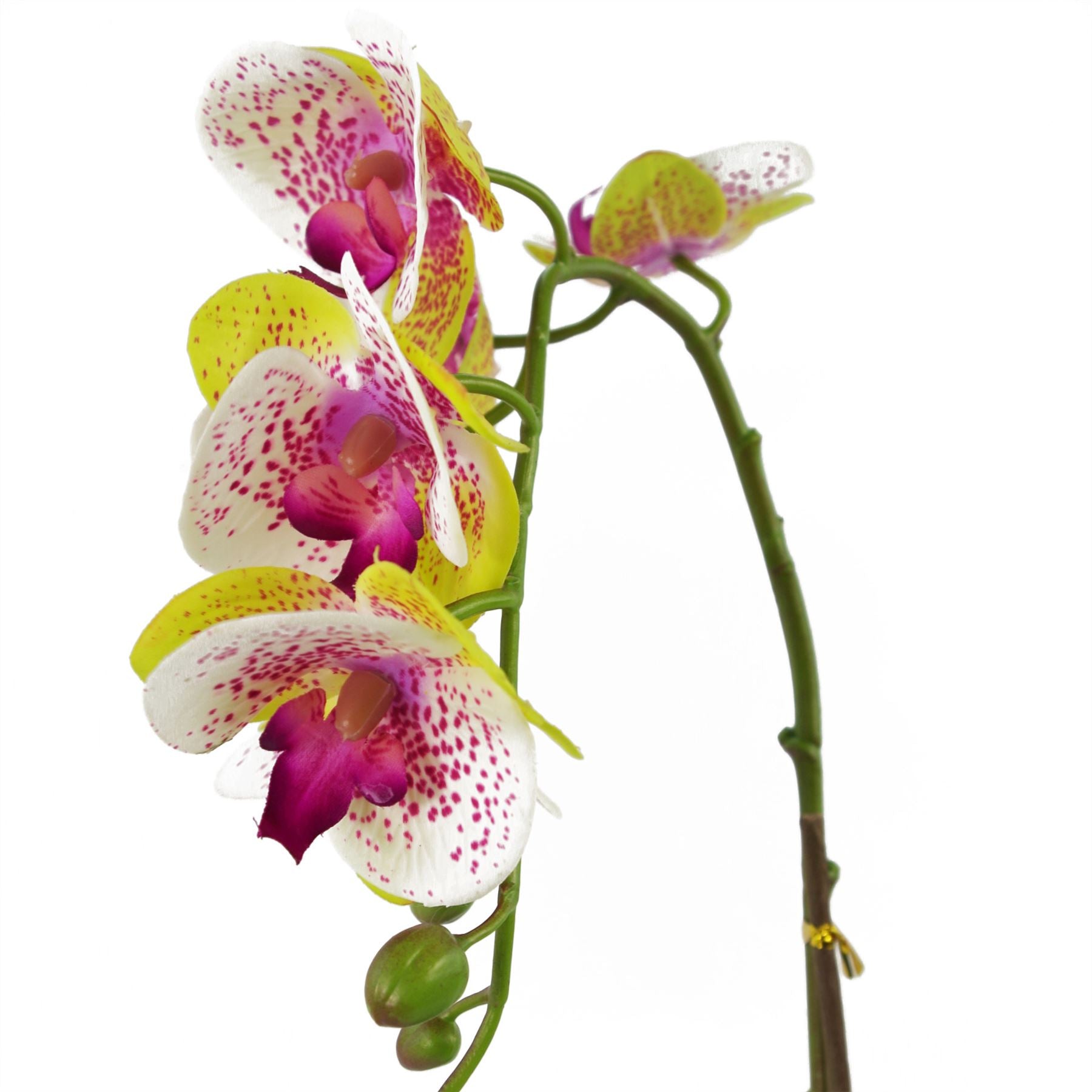 46cm Artificial Orchid Harlequin Pink with Silver Pot – image 5