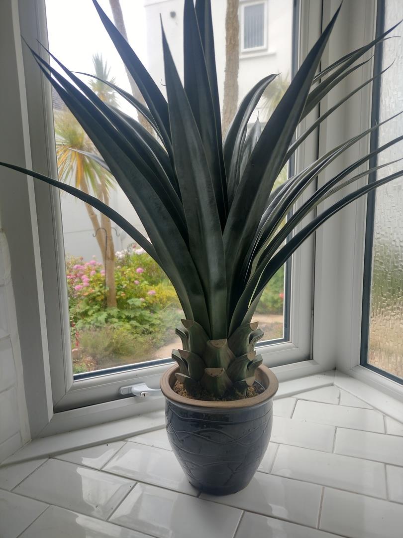 90cm Artificial Yukka Plant – image 6