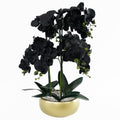 60cm Orchid Artificial Black Gold Ceramic Planter