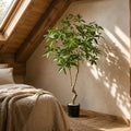 180cm Realistic Artificial Money Tree Pachira