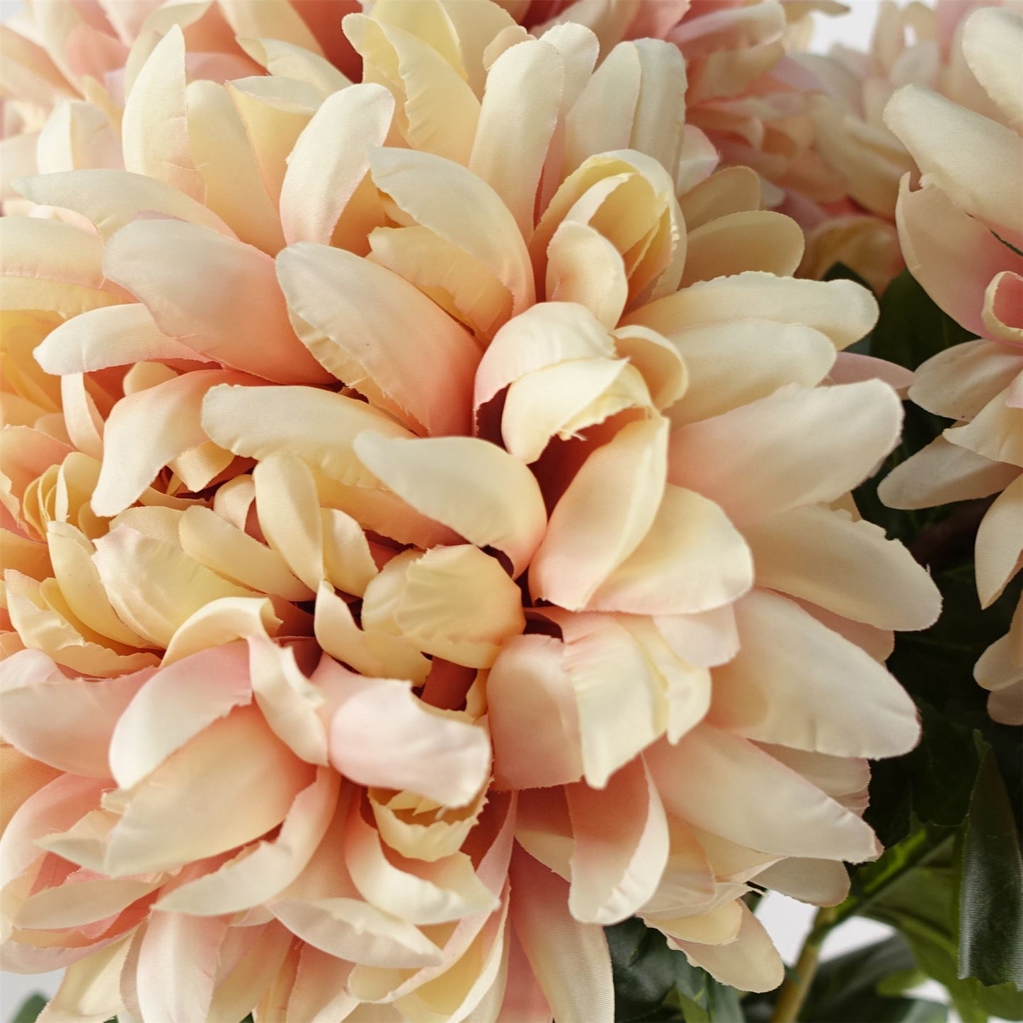 75cm Artificial Extra Large Reflex Chrysanthemum Pink – image 2