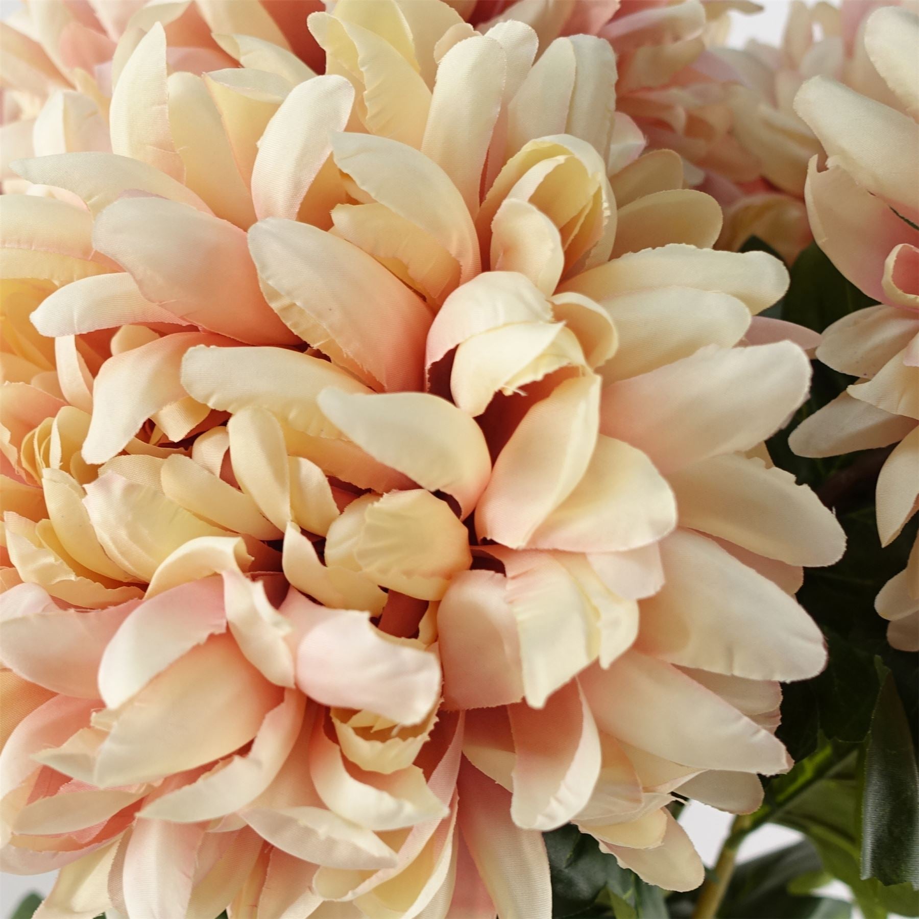 75cm Artificial Extra Large Reflex Chrysanthemum Pink – image 2