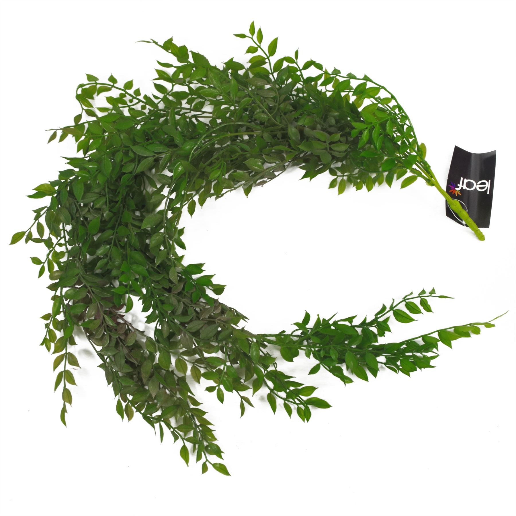 100cm Artificial Hanging String of Pearls Fern Plant Dark Green – image 3
