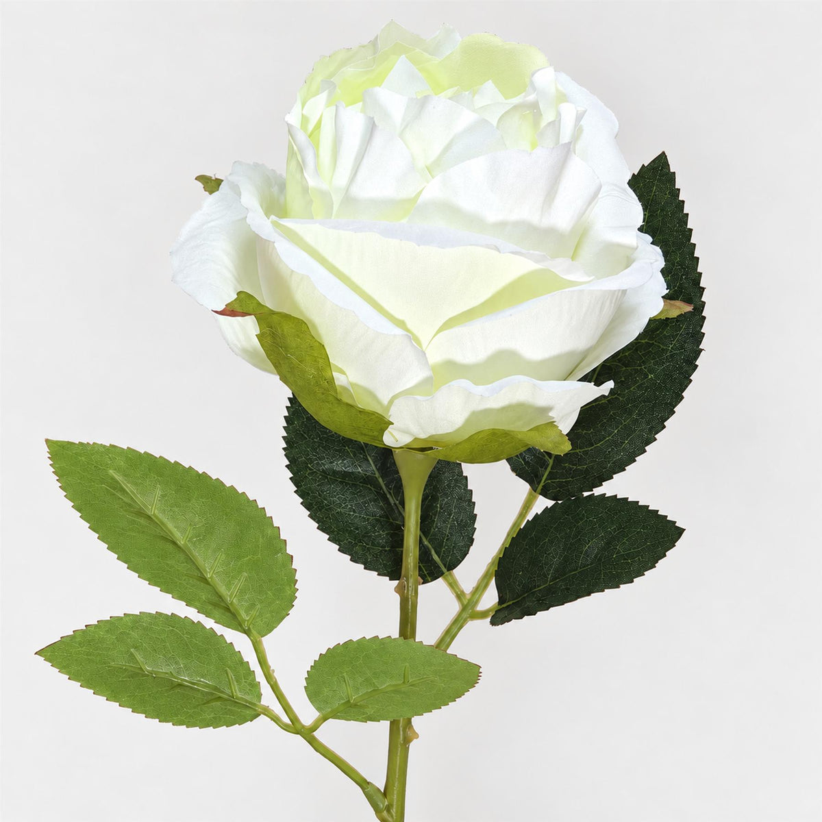 55cm Artificial White Rose Stem – image 3