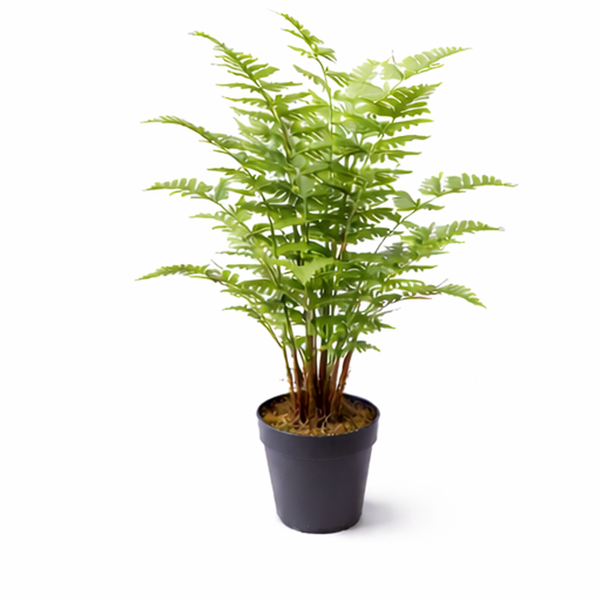 75cm Artificial Fern Plant – image 5