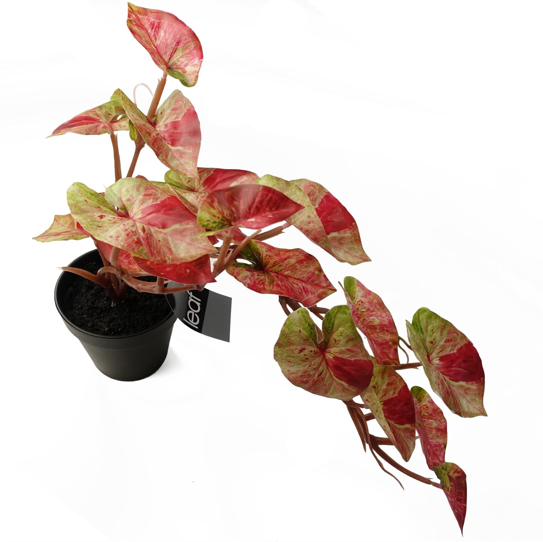 35cm Artificial Hanging Trailing Plant Pink Splash Caladium – image 4