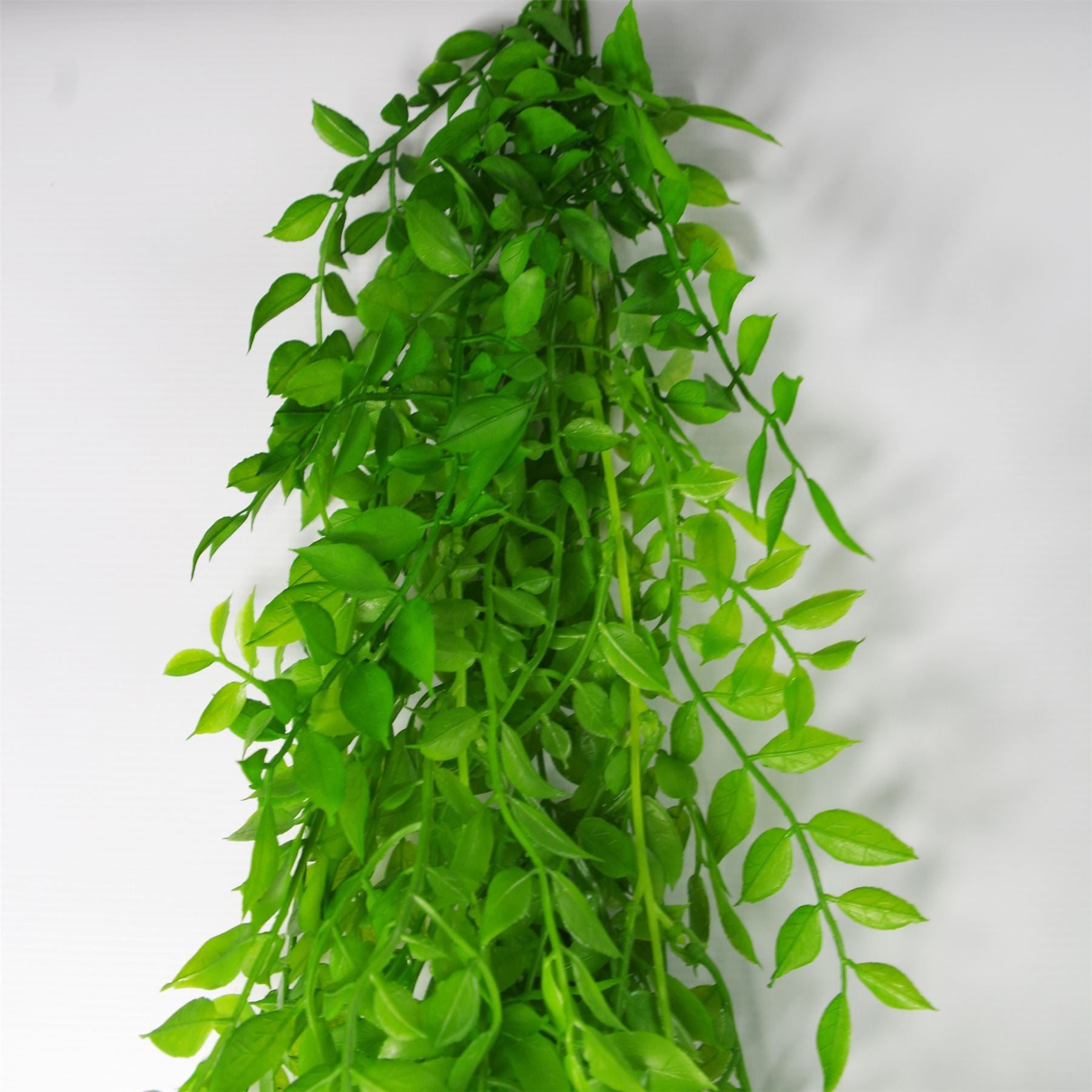 100cm Artificial Hanging String of Pearls Fern Plant Light Green – image 4