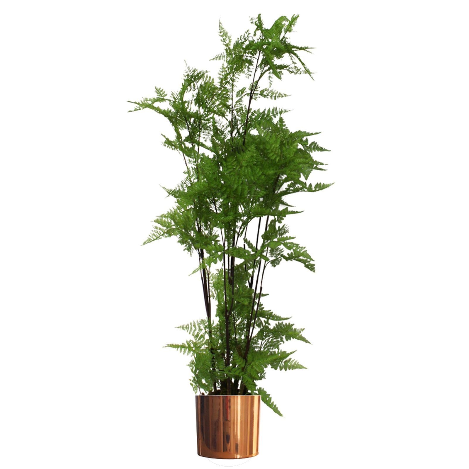 Leaf Planter Plant Pot with Polished Copper Finish 20 x 18cm – image 5