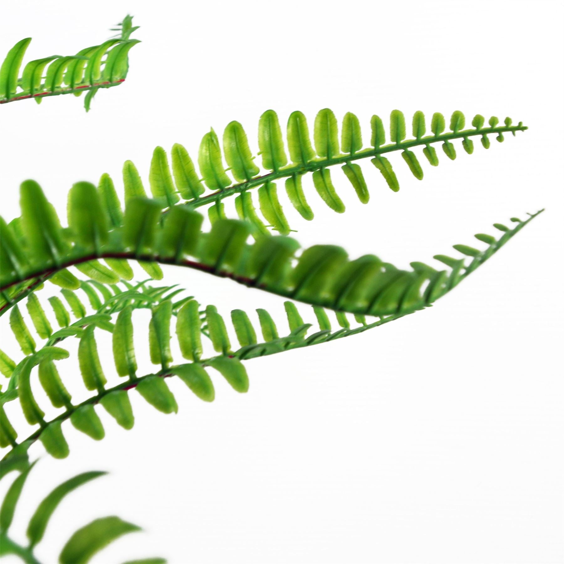 40cm Artificial Fern with Ceramic Planter Stand – image 4