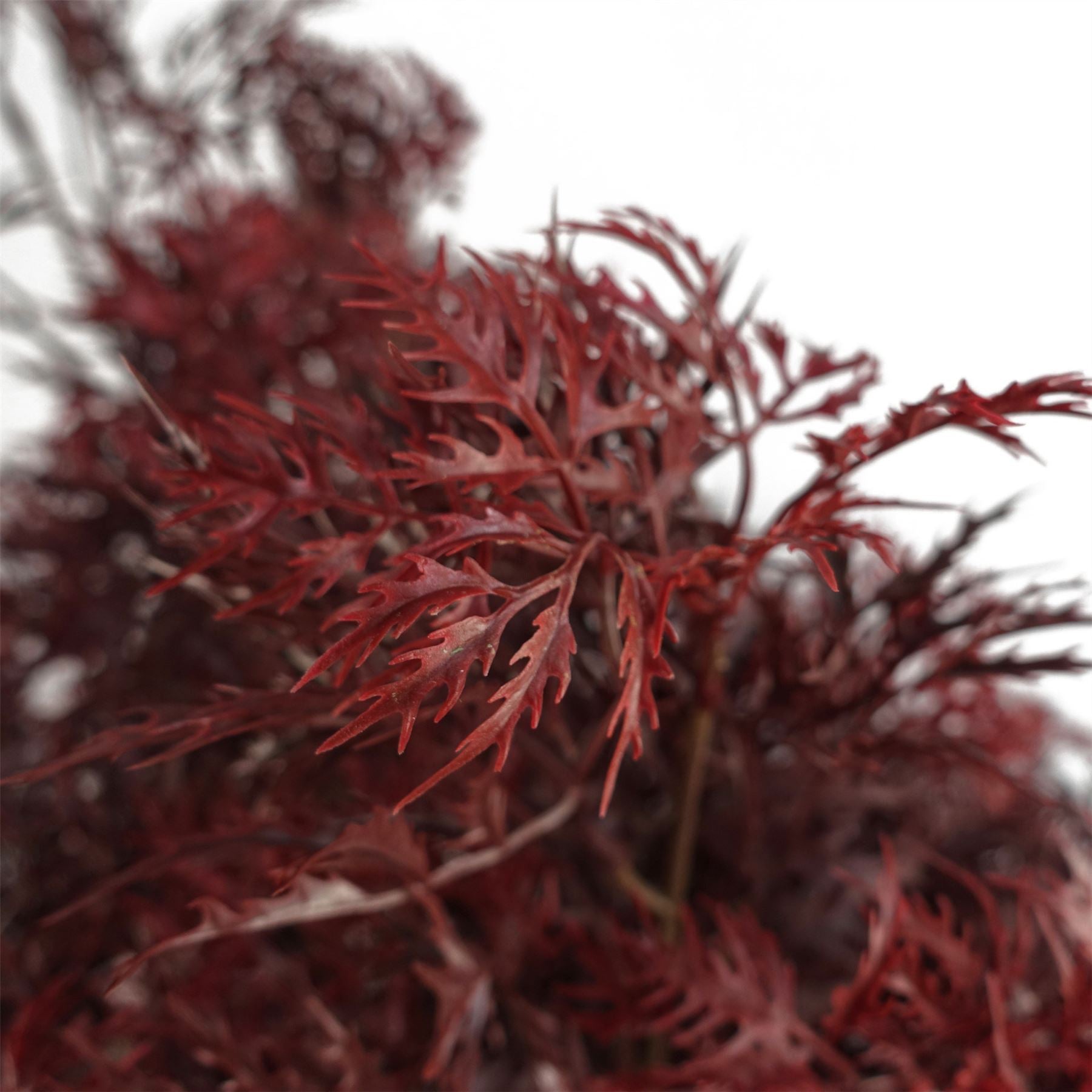 120cm Red Aralia Tree Artificial UV Resistant Outdoor – image 3