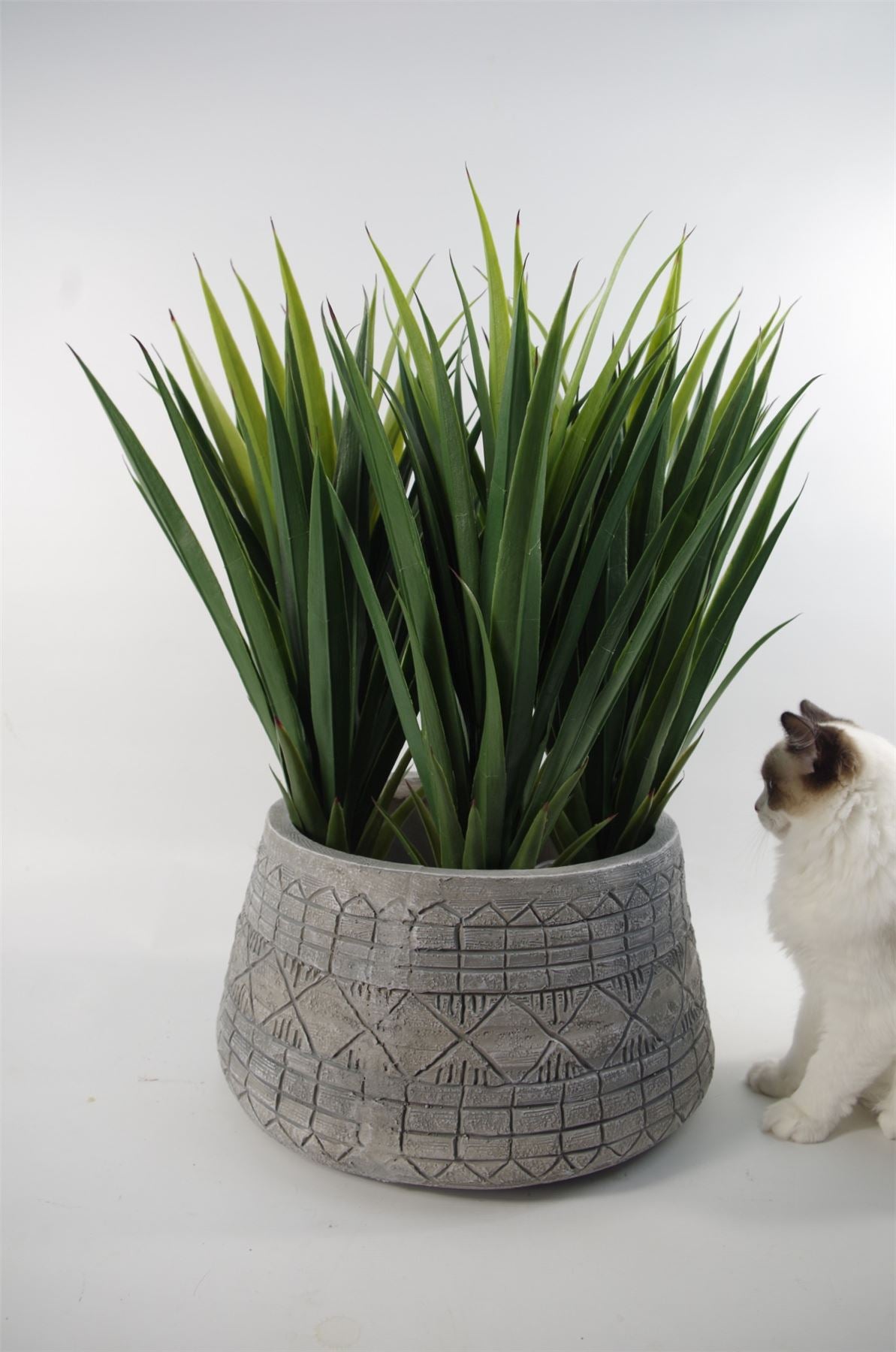x 37cm Large Grey Gliese Embossed Planter 22cm – image 7