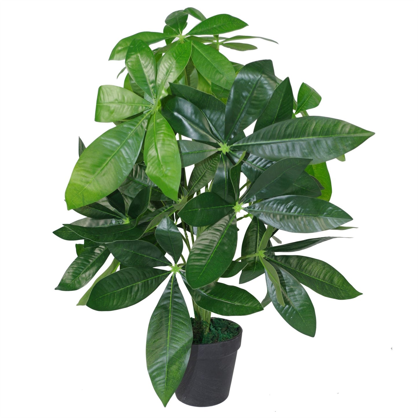 50cm Artificial Money Tree Plant Pachira – image 3