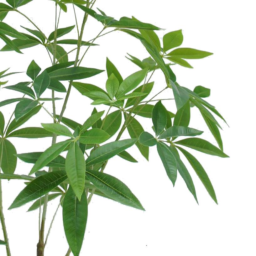 120cm Artificial Money Plant Pachira Realistic Faux Tree – image 2