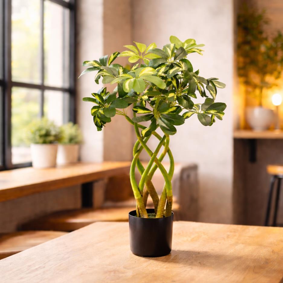 70cm Twisted Stem Modern Arboricola Artificial Plant Bonsai Bush – image 2