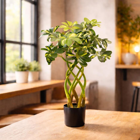 70cm Twisted Stem Modern Arboricola Artificial Plant Bonsai Bush – image 2