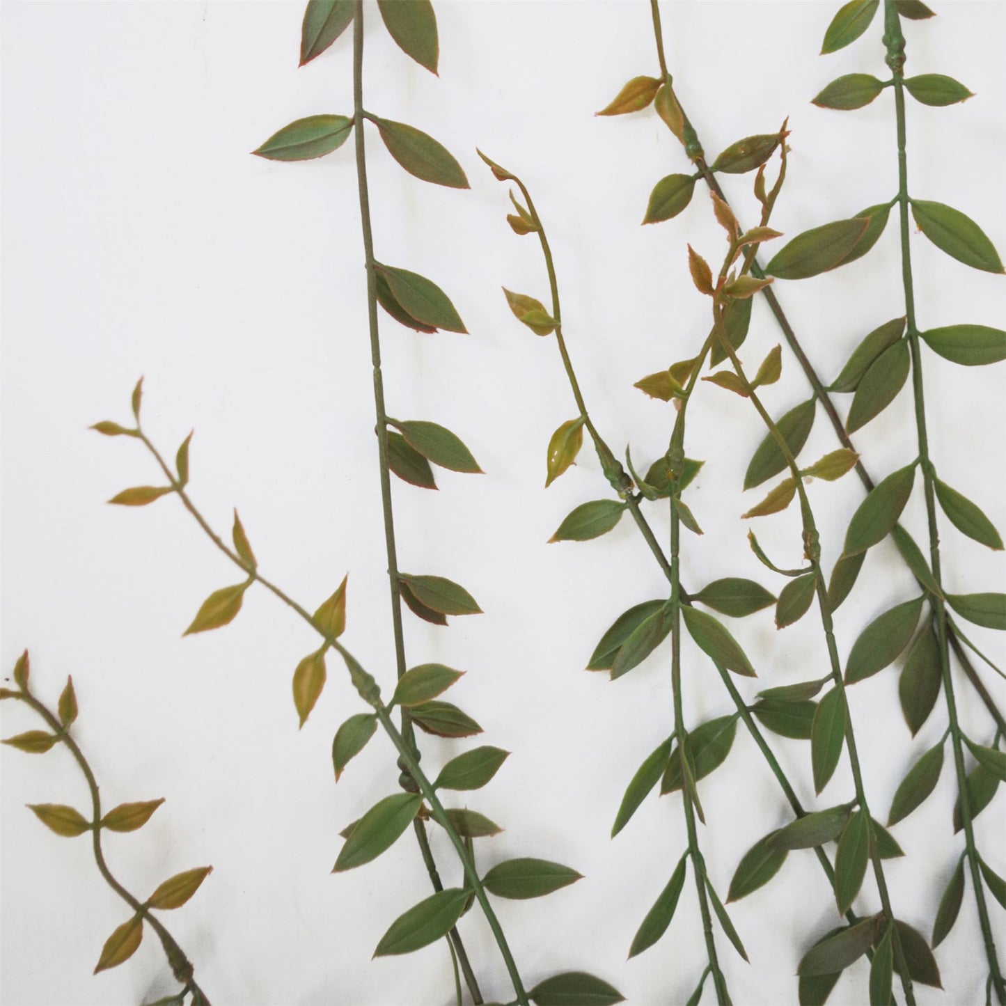 120cm Artificial Hanging String of Pearls – image 2