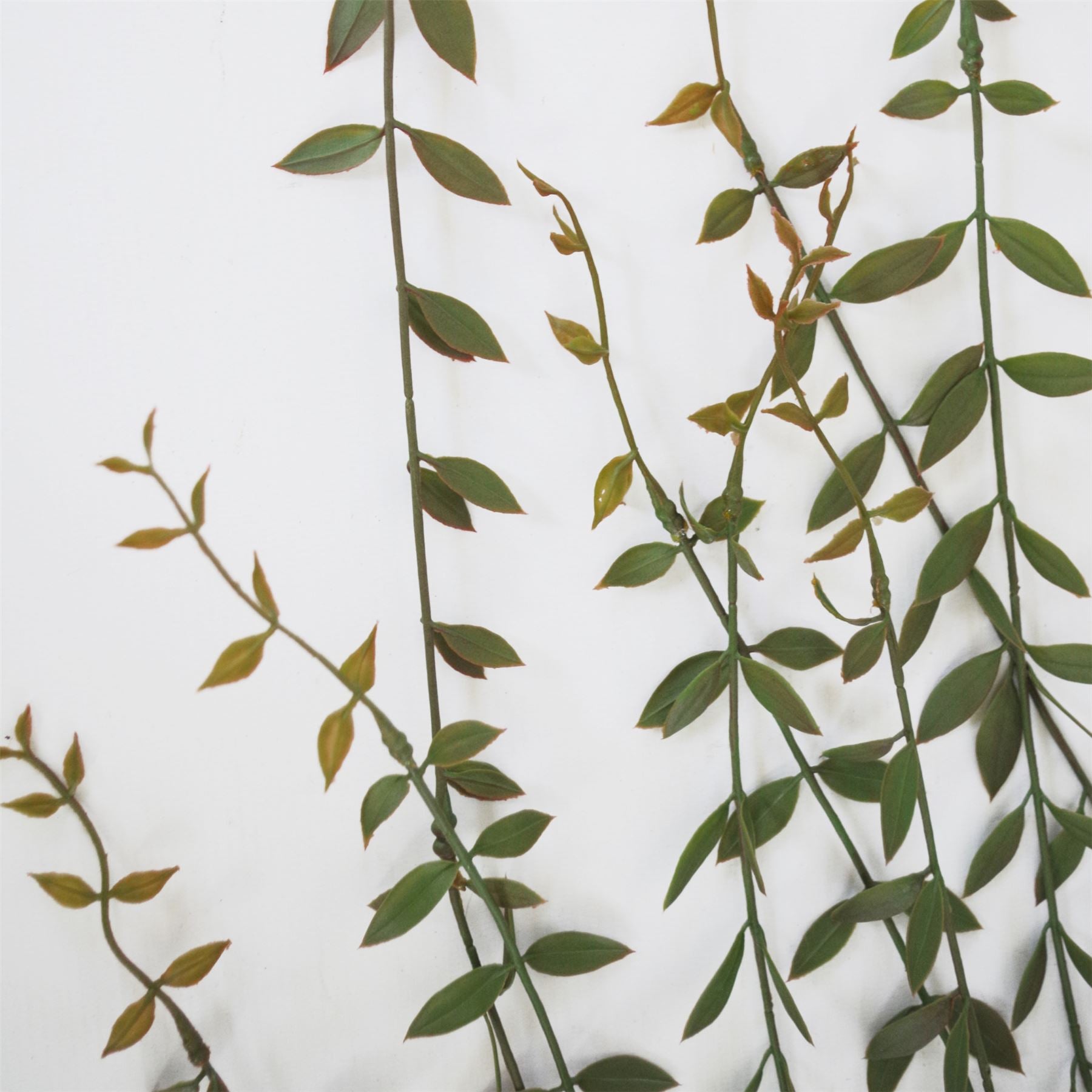 120cm Artificial Hanging String of Pearls – image 2