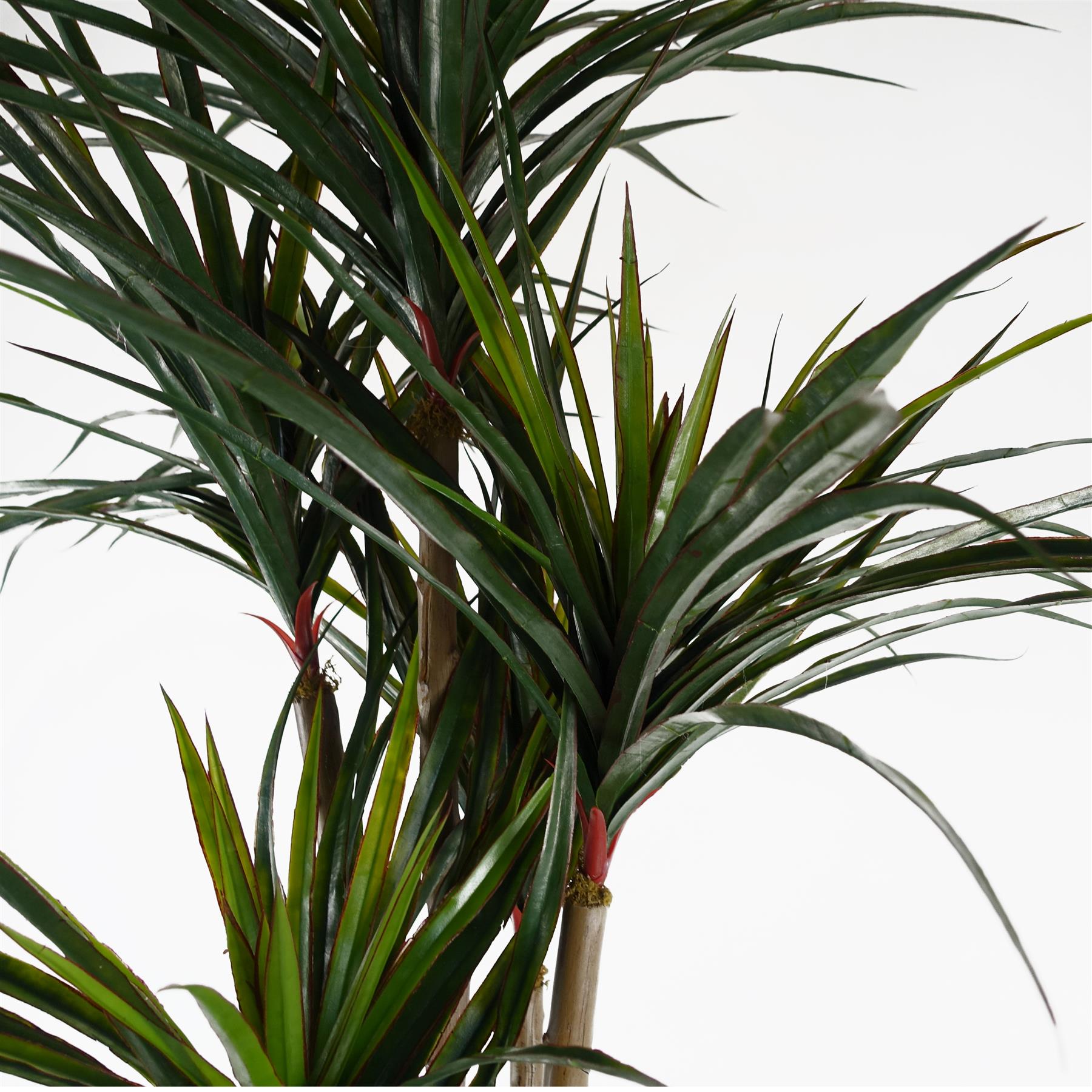 120cm Artificial UV Resistant Yucca – image 3